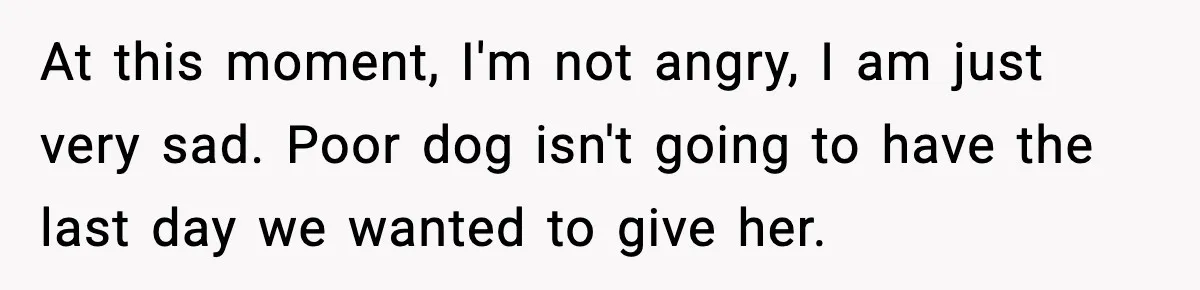 At this moment, I'm not angry, I am just very sad. Poor dog isn't going to have the last day we wanted to give her.