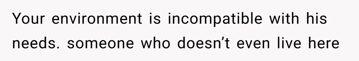 Your environment is incompatible with his needs. someone who doesn’t even live here