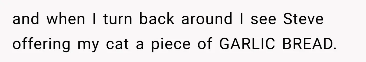 and when I turn back around I see Steve offering my cat a piece of GARLIC BREAD.