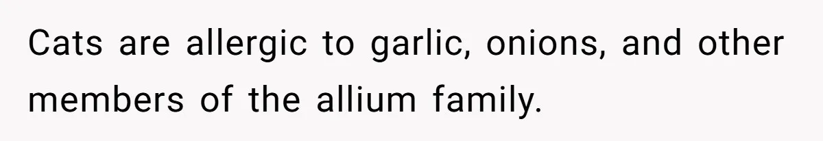 Cats are allergic to garlic, onions, and other members of the allium family.