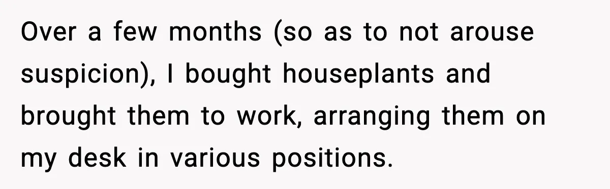 Coworkers Keep Using Her Desk As Storage, She Fights Back With Plants Over a few months (so as to not arouse suspicion), I bought houseplants and brought them to work, arranging them on my desk in various positions.