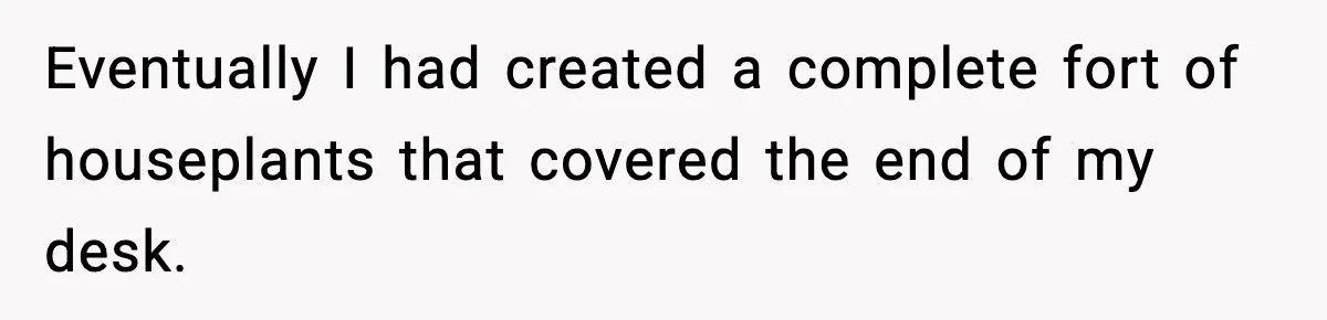 Coworkers Keep Using Her Desk As Storage, She Fights Back With Plants Eventually I had created a complete fort of houseplants that covered the end of my desk.