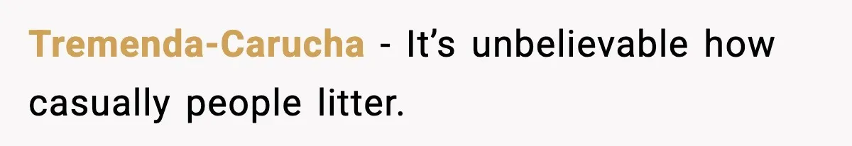 Tremenda-Carucha - It’s unbelievable how casually people litter.