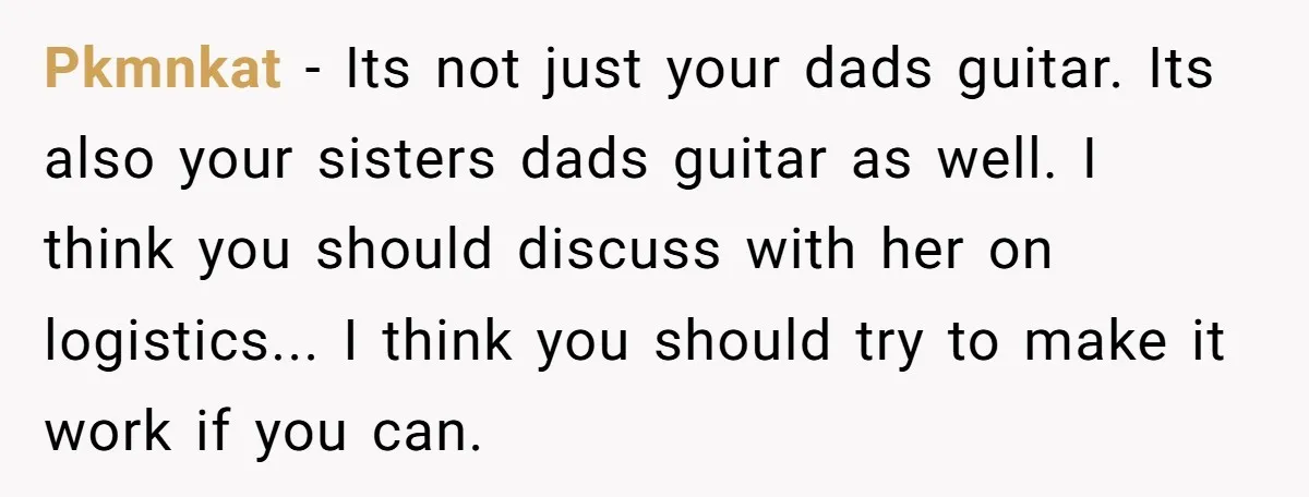 Pkmnkat − Its not just your dads guitar. Its also your sisters dads guitar as well. I think you should discuss with her on logistics... I think you should try...