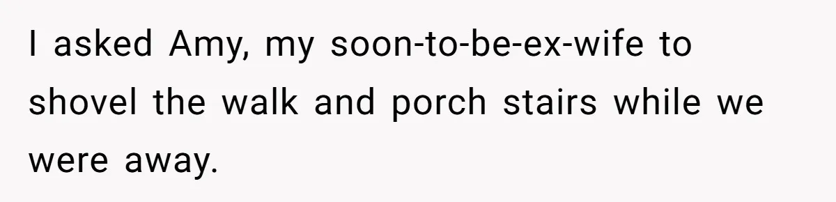 I asked Amy, my soon-to-be-ex-wife to shovel the walk and porch stairs while we were away.