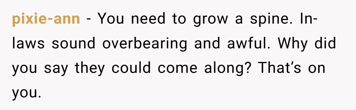 pixie-ann − You need to grow a spine. In-laws sound overbearing and awful. Why did you say they could come along? That’s on you.