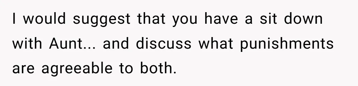 I would suggest that you have a sit down with Aunt... and discuss what punishments are agreeable to both.