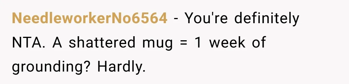 NeedleworkerNo6564 − You're definitely NTA. A shattered mug = 1 week of grounding? Hardly.