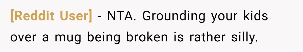 [Reddit User] − NTA. Grounding your kids over a mug being broken is rather silly.