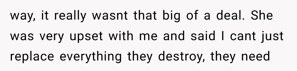 way, it really wasnt that big of a deal. She was very upset with me and said I cant just replace everything they destroy, they need