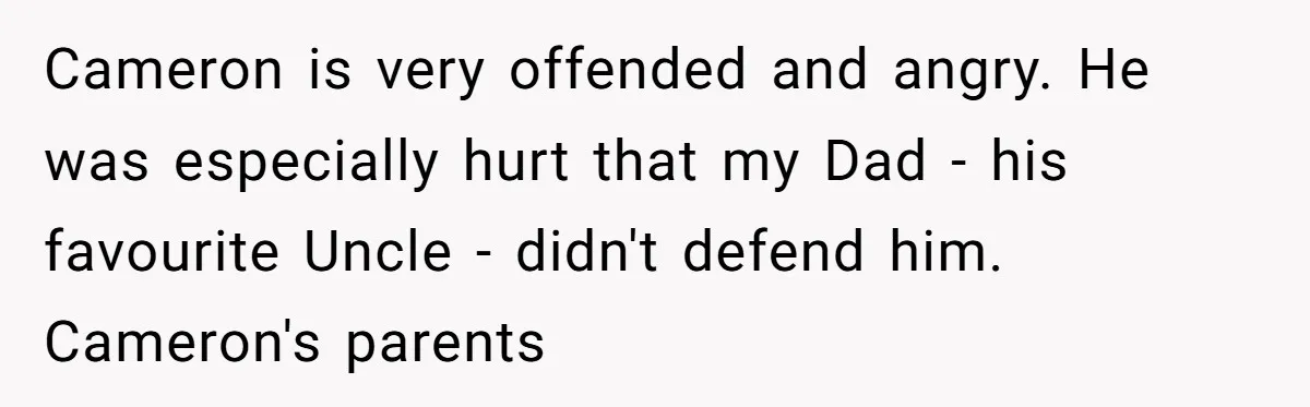 Cameron is very offended and angry. He was especially hurt that my Dad - his favourite Uncle - didn't defend him. Cameron's parents