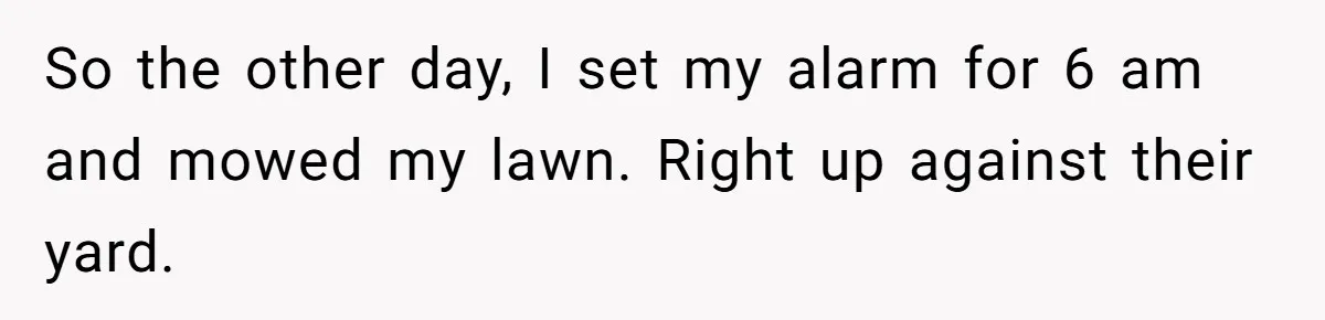 So the other day, I set my alarm for 6 am and mowed my lawn. Right up against their yard.