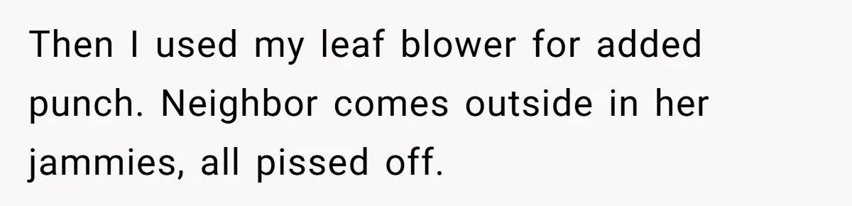 Then I used my leaf blower for added punch. Neighbor comes outside in her jammies, all pissed off.