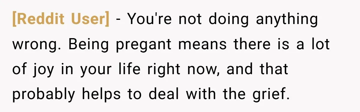 [Reddit User] − You're not doing anything wrong. Being pregant means there is a lot of joy in your life right now, and that probably helps to deal with the...