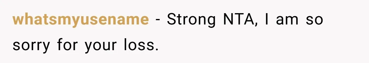 whatsmyusename − Strong NTA, I am so sorry for your loss.