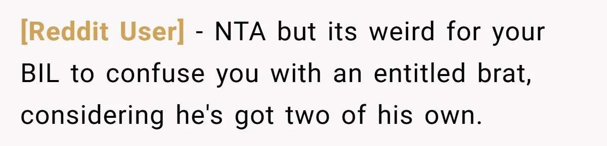 [Reddit User] − NTA but its weird for your BIL to confuse you with an entitled brat, considering he's got two of his own.