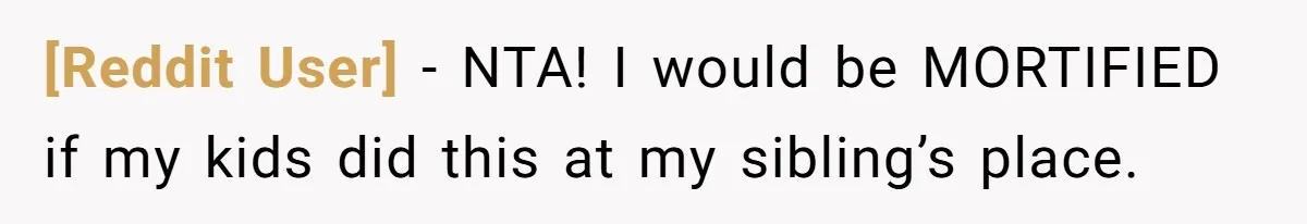 [Reddit User] − NTA! I would be MORTIFIED if my kids did this at my sibling’s place.