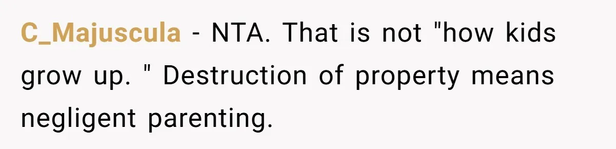 C_Majuscula − NTA. That is not "how kids grow up. " Destruction of property means negligent parenting.