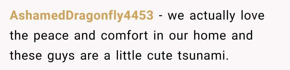 AshamedDragonfly4453 − we actually love the peace and comfort in our home and these guys are a little cute tsunami.