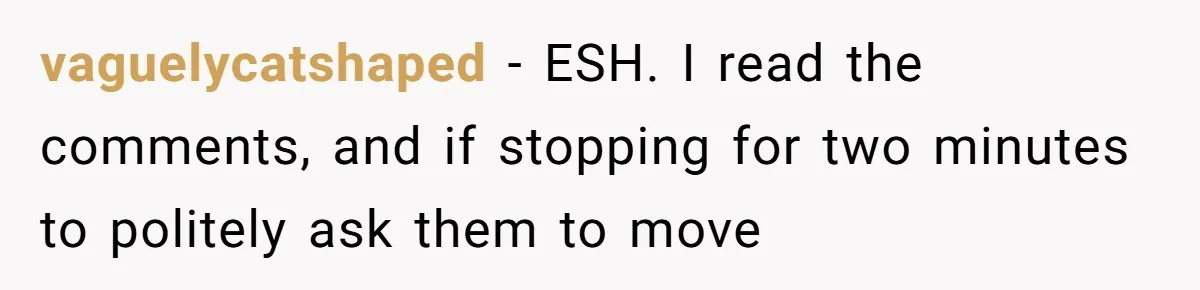 vaguelycatshaped − ESH. I read the comments, and if stopping for two minutes to politely ask them to move