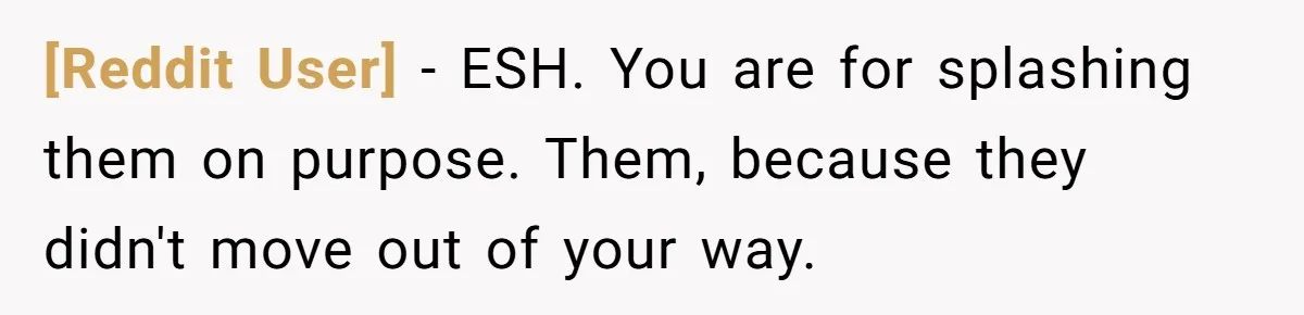 [Reddit User] − ESH. You are for splashing them on purpose. Them, because they didn't move out of your way.