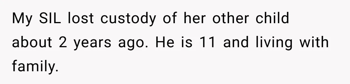 My SIL lost custody of her other child about 2 years ago. He is 11 and living with family.