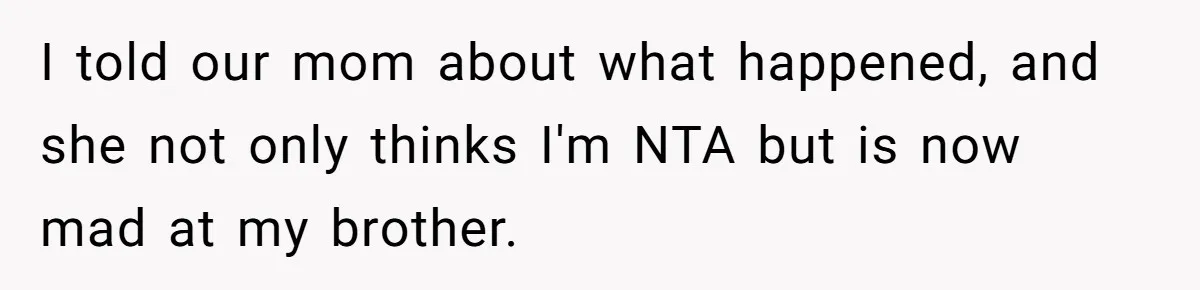 I told our mom about what happened, and she not only thinks I'm NTA but is now mad at my brother.