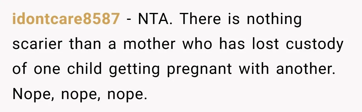 idontcare8587 − NTA. There is nothing scarier than a mother who has lost custody of one child getting pregnant with another. Nope, nope, nope.