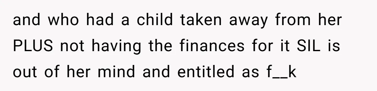 and who had a child taken away from her PLUS not having the finances for it SIL is out of her mind and entitled as f__k