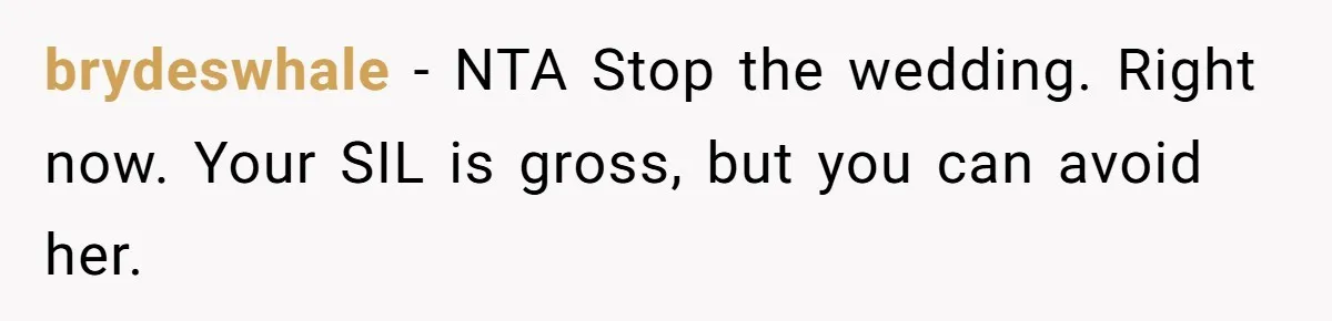 brydeswhale − NTA Stop the wedding. Right now. Your SIL is gross, but you can avoid her.