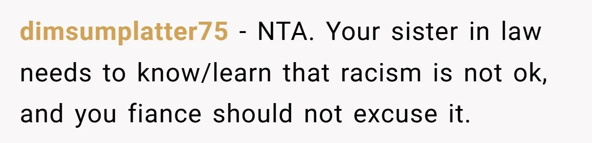 dimsumplatter75 − NTA. Your sister in law needs to know/learn that racism is not ok, and you fiance should not excuse it.