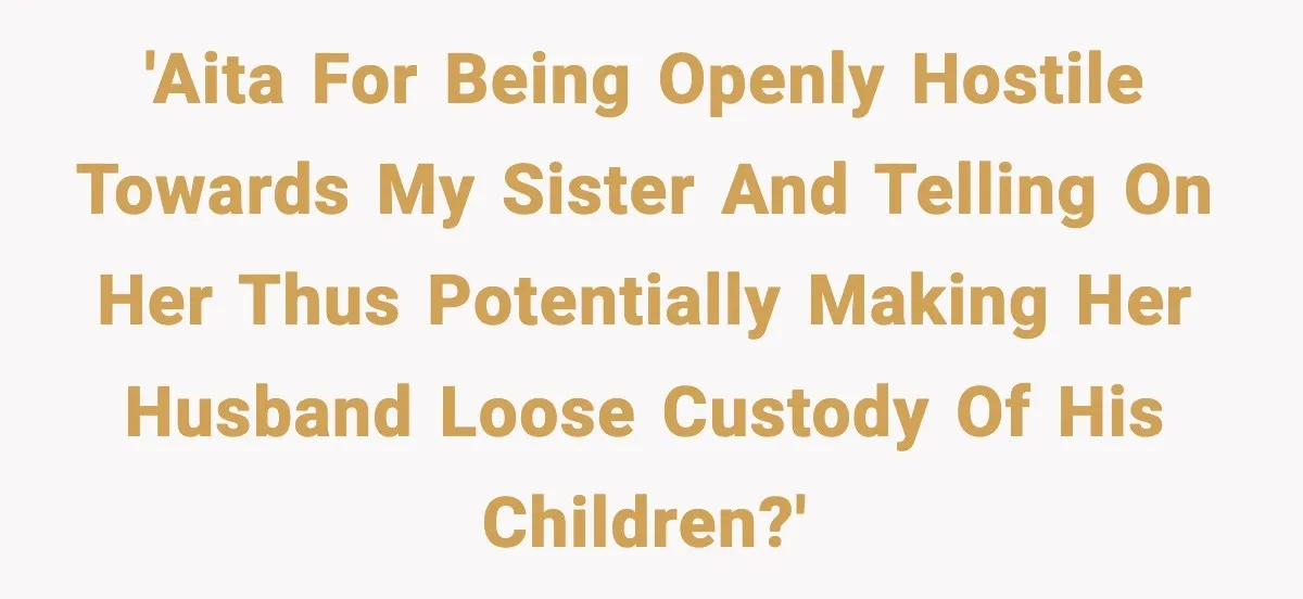Woman Calls Out Sister’s Abusive Behavior, Leads To Custody Issues For Her Husband 'AITA for being openly hostile towards my sister and telling on her thus potentially making her husband loose custody of his children?'