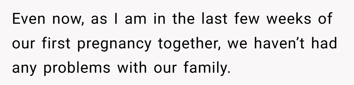 Even now, as I am in the last few weeks of our first pregnancy together, we haven’t had any problems with our family.