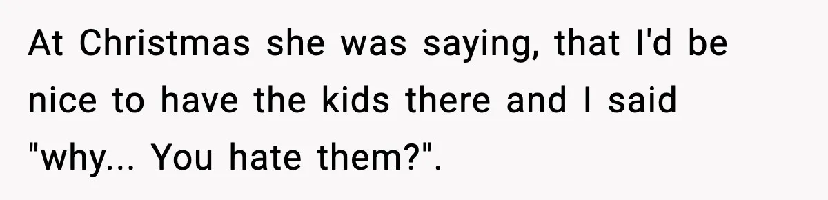Woman Calls Out Sister’s Abusive Behavior, Leads To Custody Issues For Her Husband At Christmas she was saying, that I'd be nice to have the kids there and I said "why... You hate them?".