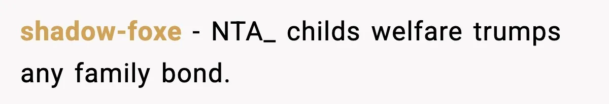 Woman Calls Out Sister’s Abusive Behavior, Leads To Custody Issues For Her Husband shadow-foxe − NTA_ childs welfare trumps any family bond.