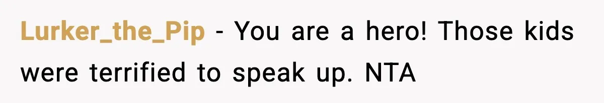 Woman Calls Out Sister’s Abusive Behavior, Leads To Custody Issues For Her Husband Lurker_the_Pip − You are a hero! Those kids were terrified to speak up. NTA