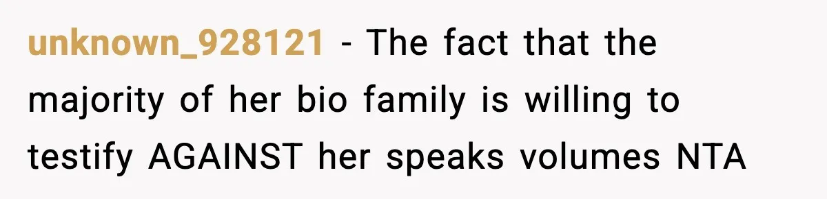 Woman Calls Out Sister’s Abusive Behavior, Leads To Custody Issues For Her Husband unknown_928121 − The fact that the majority of her bio family is willing to testify AGAINST her speaks volumes NTA