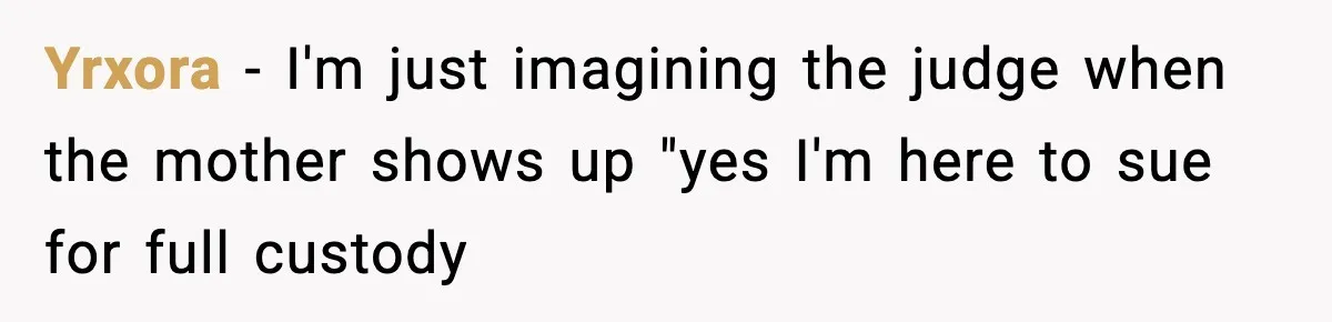 Woman Calls Out Sister’s Abusive Behavior, Leads To Custody Issues For Her Husband Yrxora − I'm just imagining the judge when the mother shows up "yes I'm here to sue for full custody