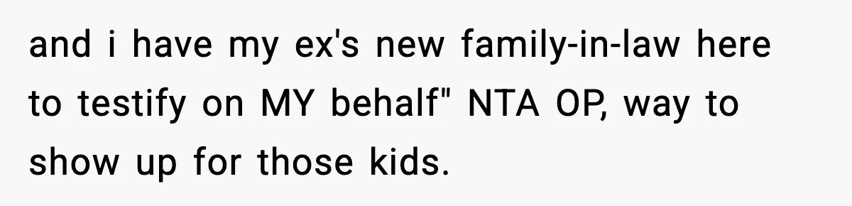 Woman Calls Out Sister’s Abusive Behavior, Leads To Custody Issues For Her Husband and i have my ex's new family-in-law here to testify on MY behalf" NTA OP, way to show up for those kids.