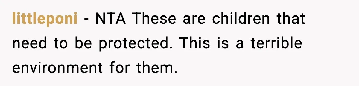 Woman Calls Out Sister’s Abusive Behavior, Leads To Custody Issues For Her Husband littleponi − NTA These are children that need to be protected. This is a terrible environment for them.