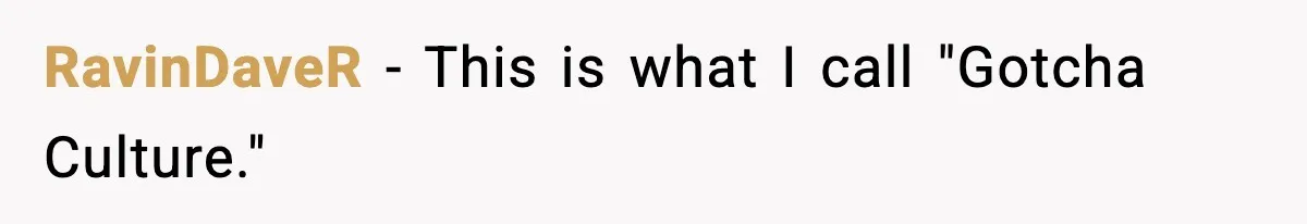 RavinDaveR − This is what I call "Gotcha Culture."