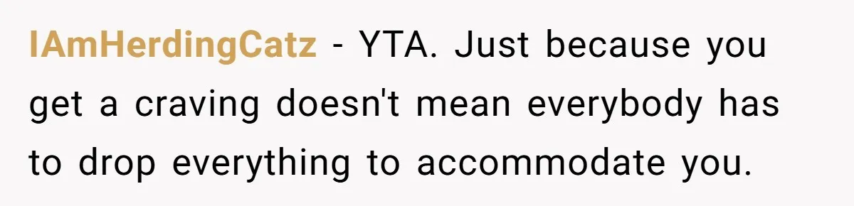 IAmHerdingCatz − YTA. Just because you get a craving doesn't mean everybody has to drop everything to accommodate you.