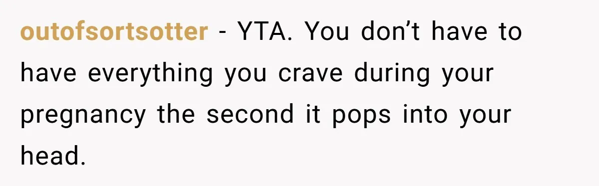 outofsortsotter − YTA. You don’t have to have everything you crave during your pregnancy the second it pops into your head.