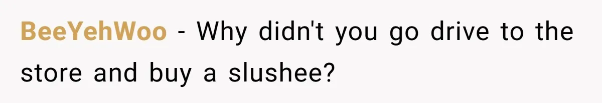 BeeYehWoo − Why didn't you go drive to the store and buy a slushee?