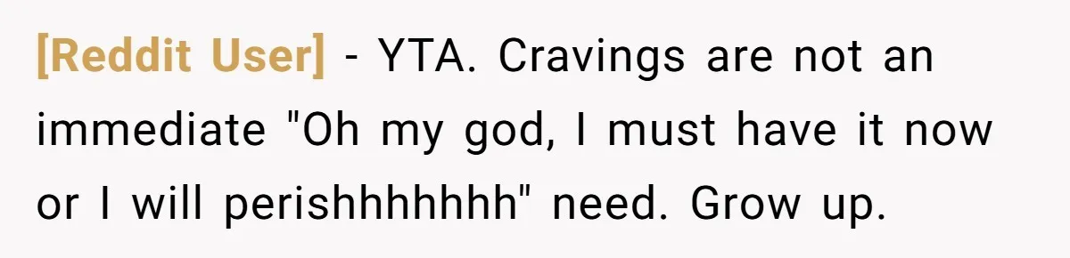 [Reddit User] − YTA. Cravings are not an immediate "Oh my god, I must have it now or I will perishhhhhhh" need. Grow up.