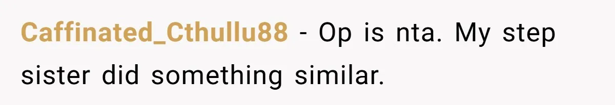 Setting Boundaries at 25: Why This Young Woman Doesn’t Want Kids at Her Birthday Caffinated_Cthullu88 − Op is nta. My step sister did something similar.