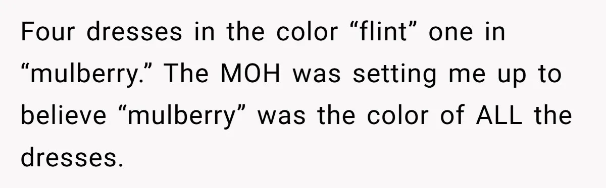 Four dresses in the color “flint” one in “mulberry.” The MOH was setting me up to believe “mulberry” was the color of ALL the dresses.