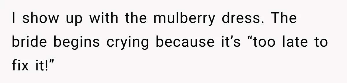 I show up with the mulberry dress. The bride begins crying because it’s “too late to fix it!”