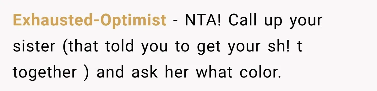 Exhausted-Optimist − NTA! Call up your sister (that told you to get your sh! t together ) and ask her what color.
