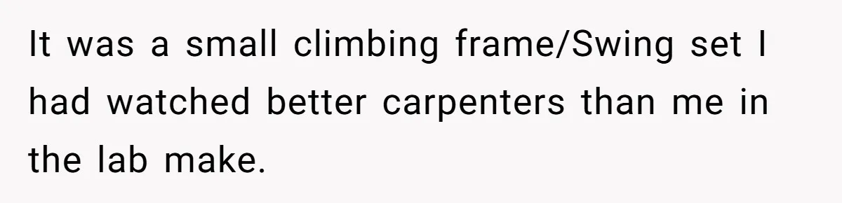 Man Refuses To Make Toys For Former Sister-In-Law After Her New Husband Calls His Gifts ‘Embarrassing’ It was a small climbing frame/Swing set I had watched better carpenters than me in the lab make.